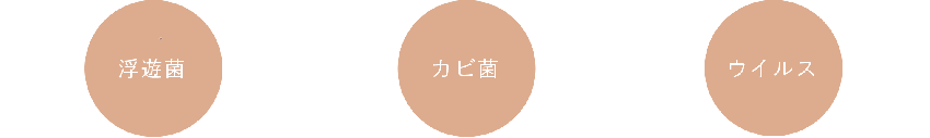 菌・ウィルス の種類